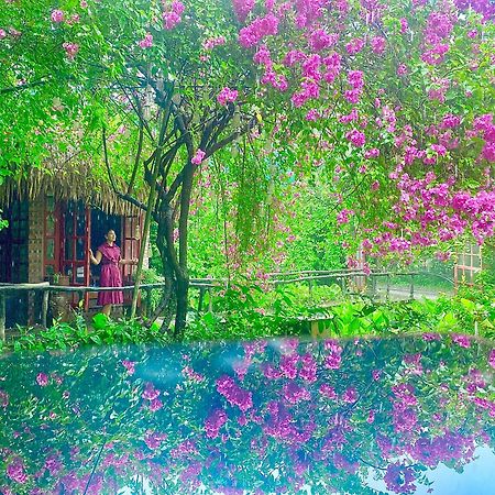 Maison Teahouse Homestay Ha Giang Exteriér fotografie