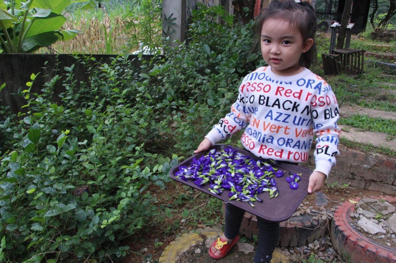 Maison Teahouse Homestay Ha Giang Exteriér fotografie