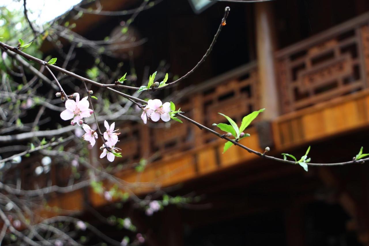 Maison Teahouse Homestay Ha Giang Exteriér fotografie