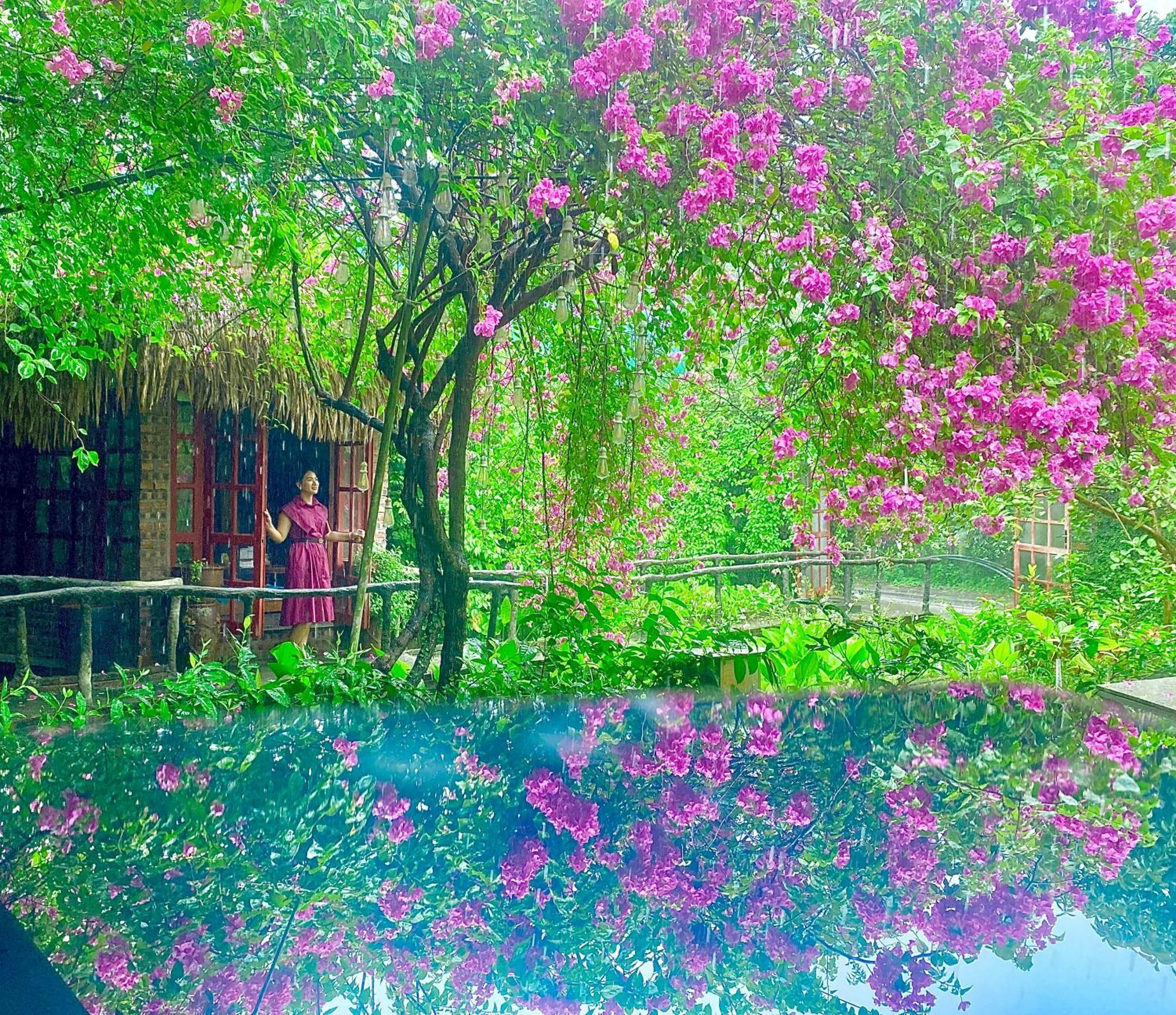 Maison Teahouse Homestay Ha Giang Exteriér fotografie